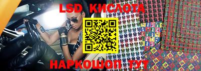 гидропоника Новозыбков