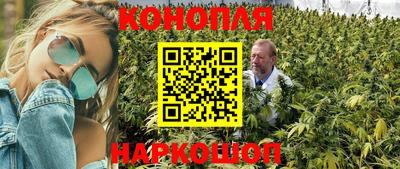 гидропоника Новозыбков