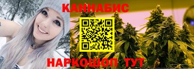 прущие крисы Новодвинск