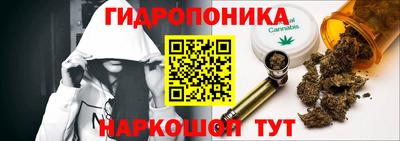 прущие грибы Новокубанск