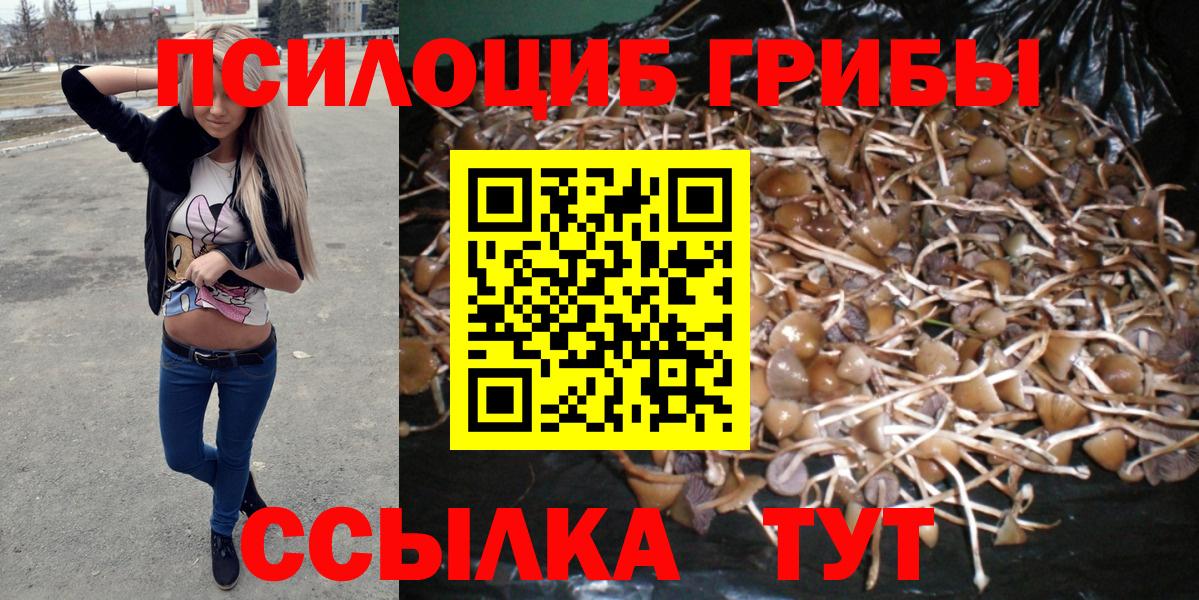 Галлюциногенные грибы мицелий  закладки  Северобайкальск  Вход с VPN 