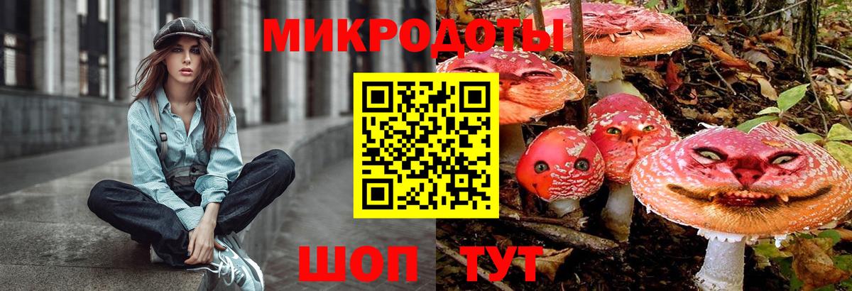 Псилоцибиновые грибы мицелий Северобайкальск